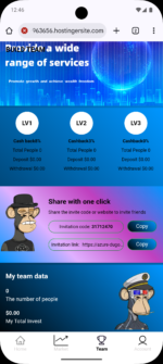 Overseas NFT Management System – Three-Tier Agent Model with Customizable Products - Image 5