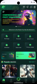 Overseas Movie Investment and Financial Management Source Code - Image 2